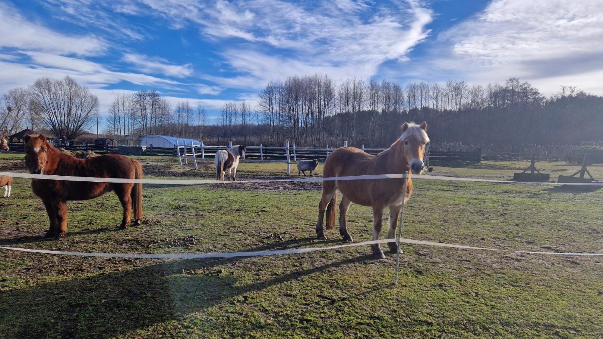 Rancho Colorado Villa Trzciel Esterno foto