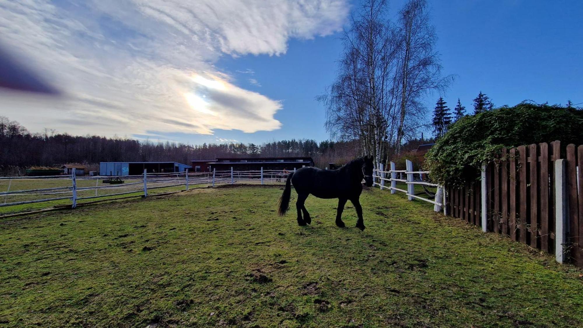 Rancho Colorado Villa Trzciel Esterno foto