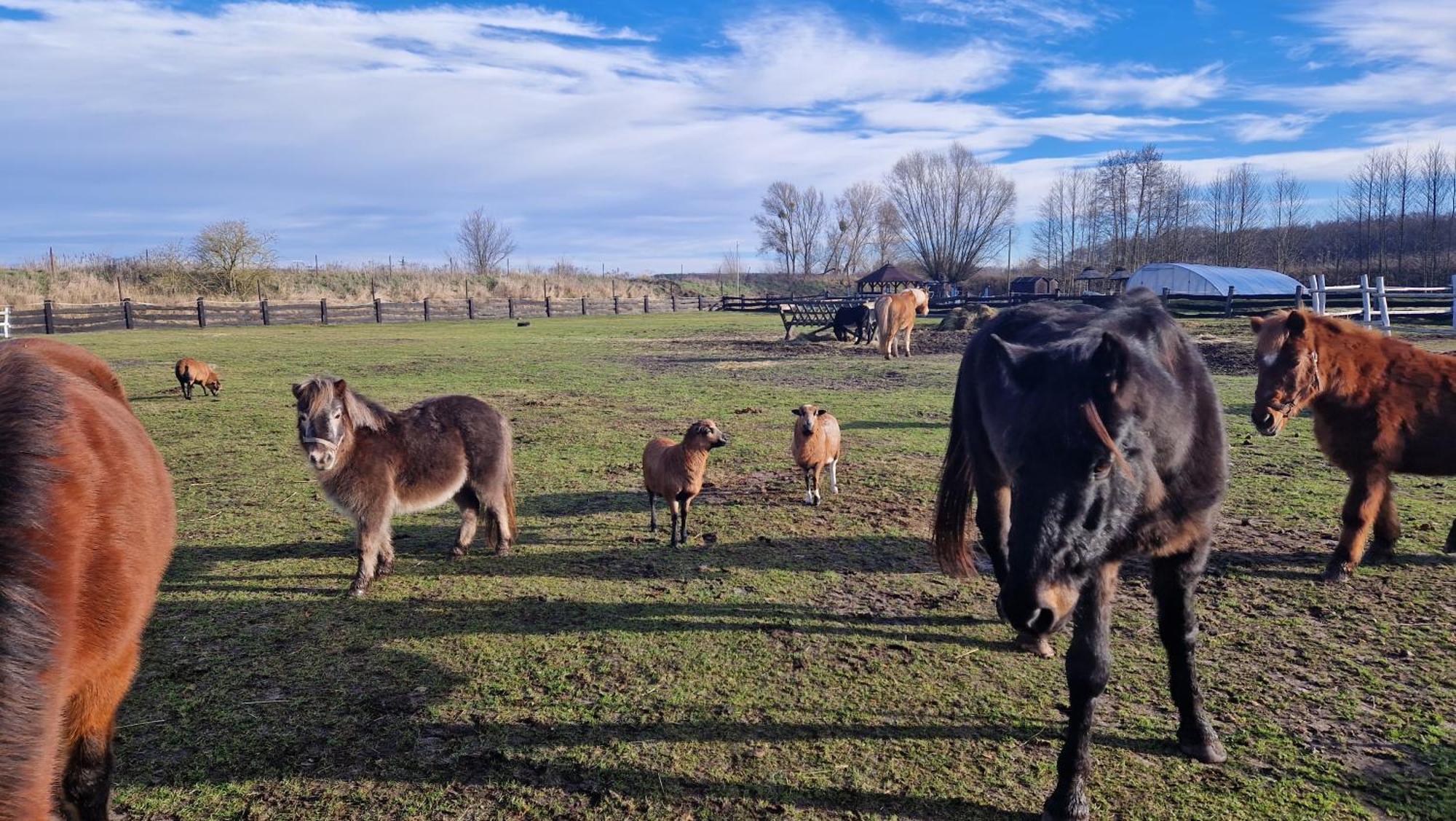 Rancho Colorado Villa Trzciel Esterno foto