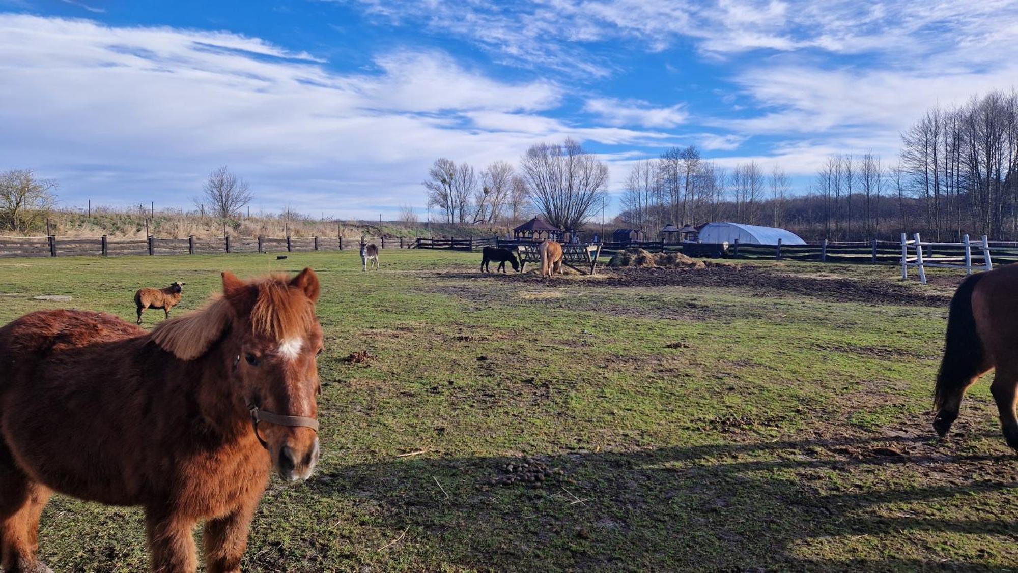 Rancho Colorado Villa Trzciel Esterno foto