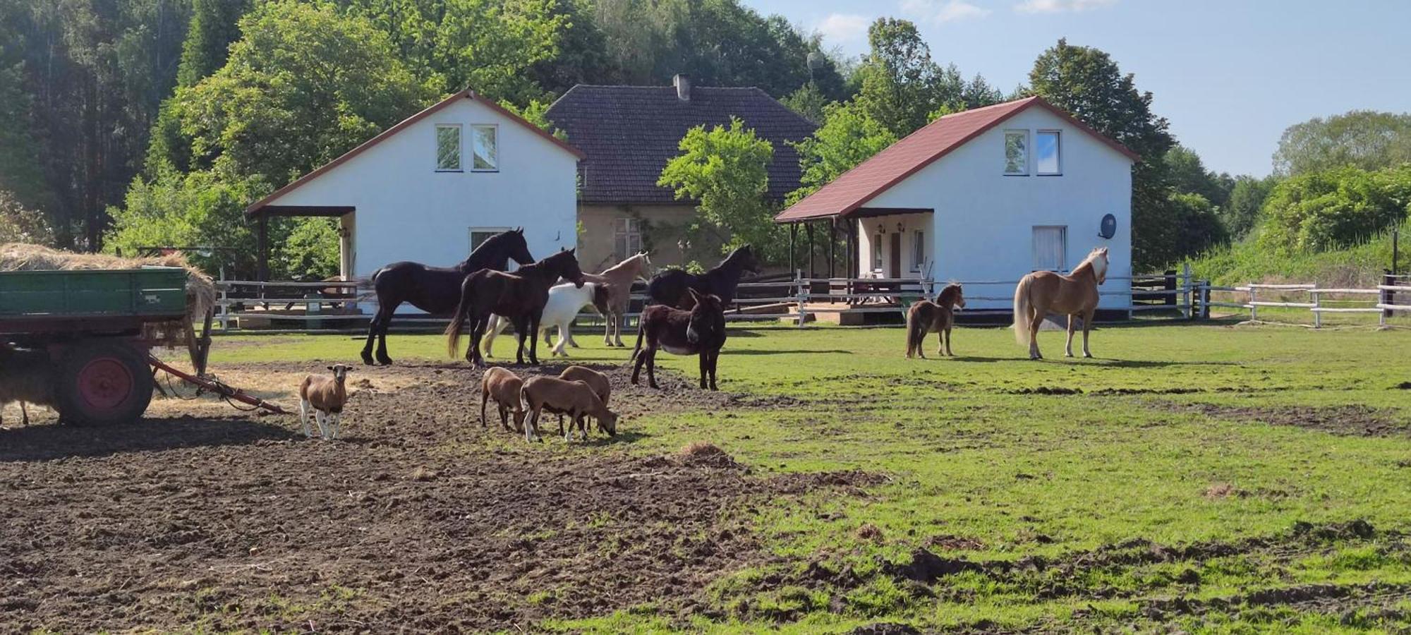Rancho Colorado Villa Trzciel Esterno foto